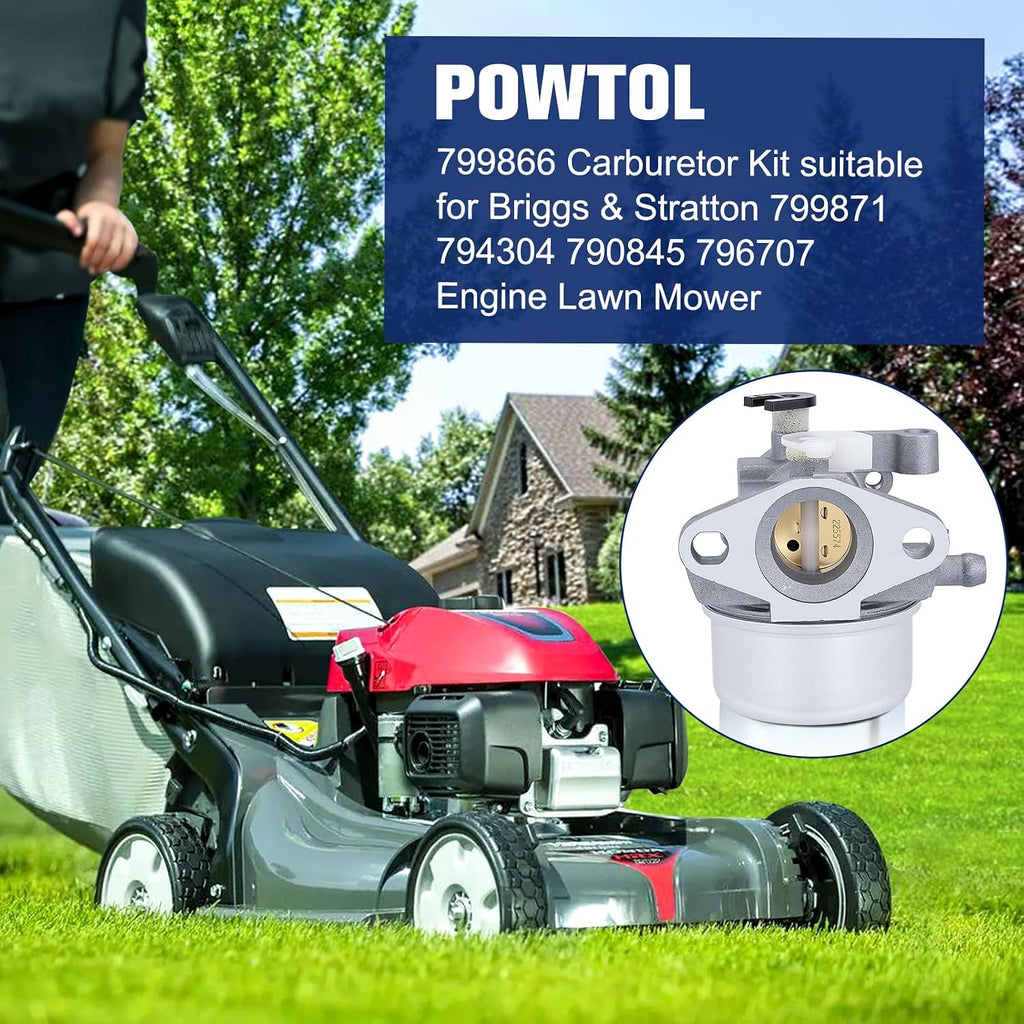 Powtol 799866 Carburetor for Brigg and Straton 190CC 675 Series Engine