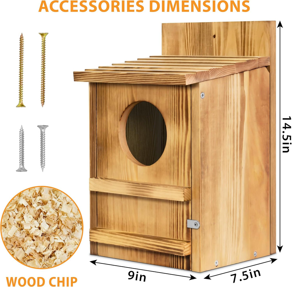 Screech Owl House, Large Wooden Circular Opening Screech Box for Outside