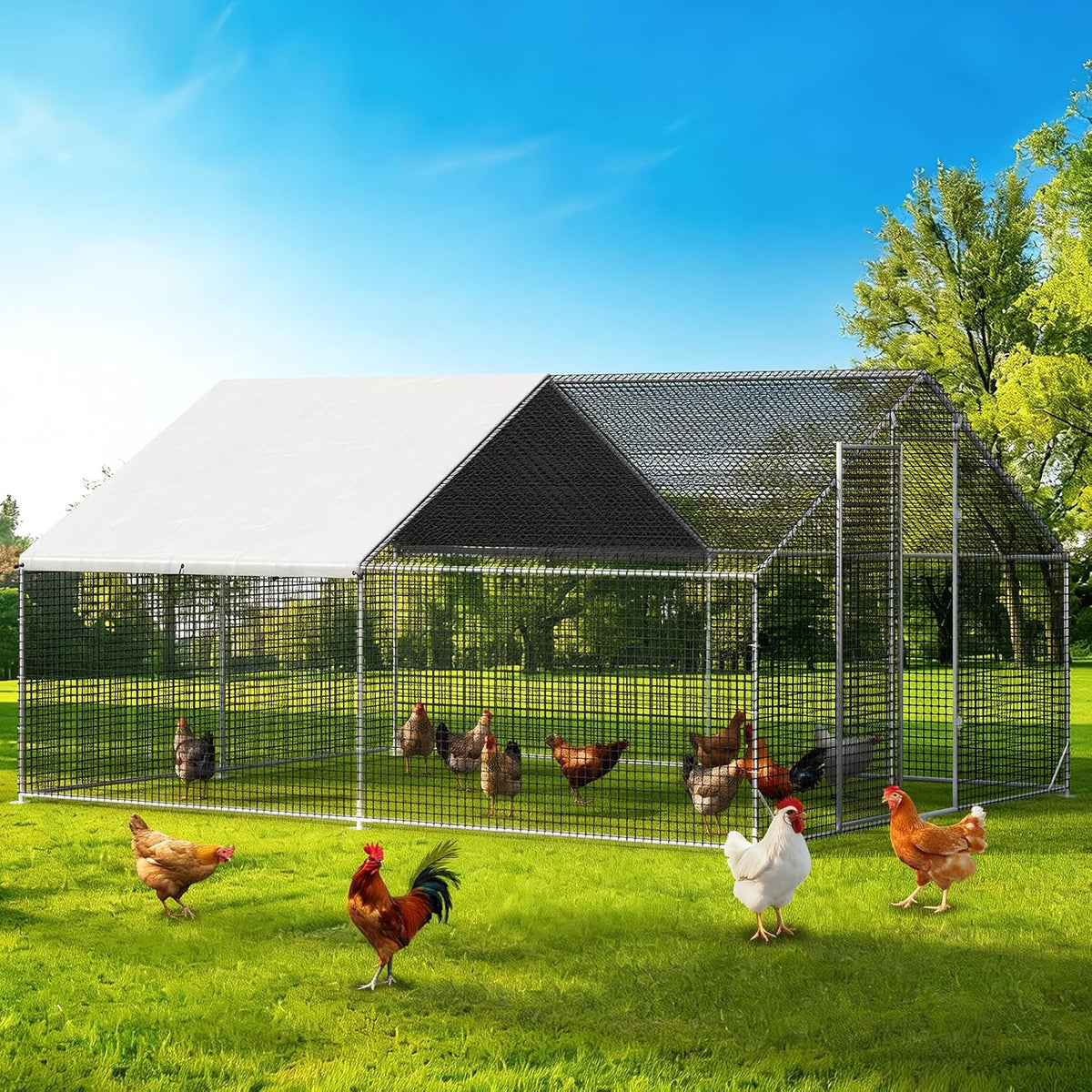 Large Walk-in Chicken Coop with Chicken Run, Galvanized Poultry Enclosure with Waterproof Anti-UV Cover and Security