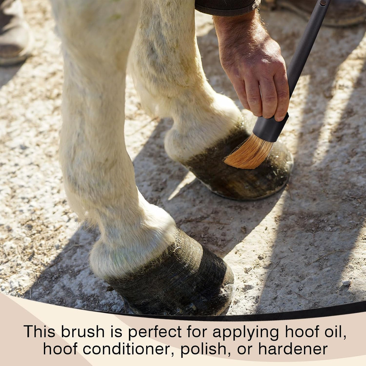 2 Set Hoof Oil Brush with Cap Soft Horse Face Cleaning Brush