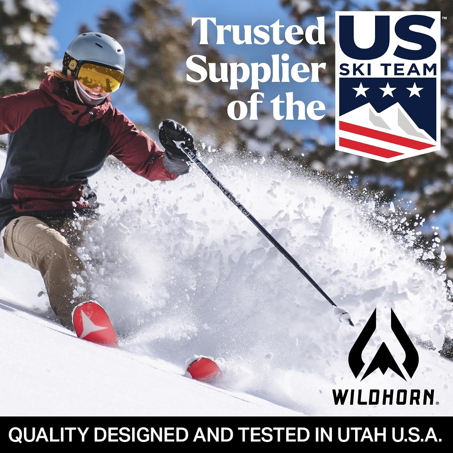 Wildhorn Roca Ski Goggles Men Women Anti-Fog/Scratch 100% UV-Magnetic Lens-Snowboard Snow Goggles Men Women