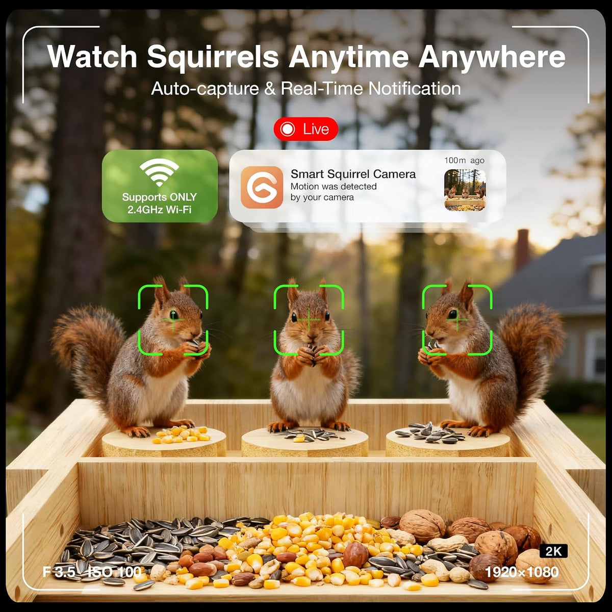 Wooden Squirrel Feeder with Camera, Solar-Powered, 2K HD+ Video