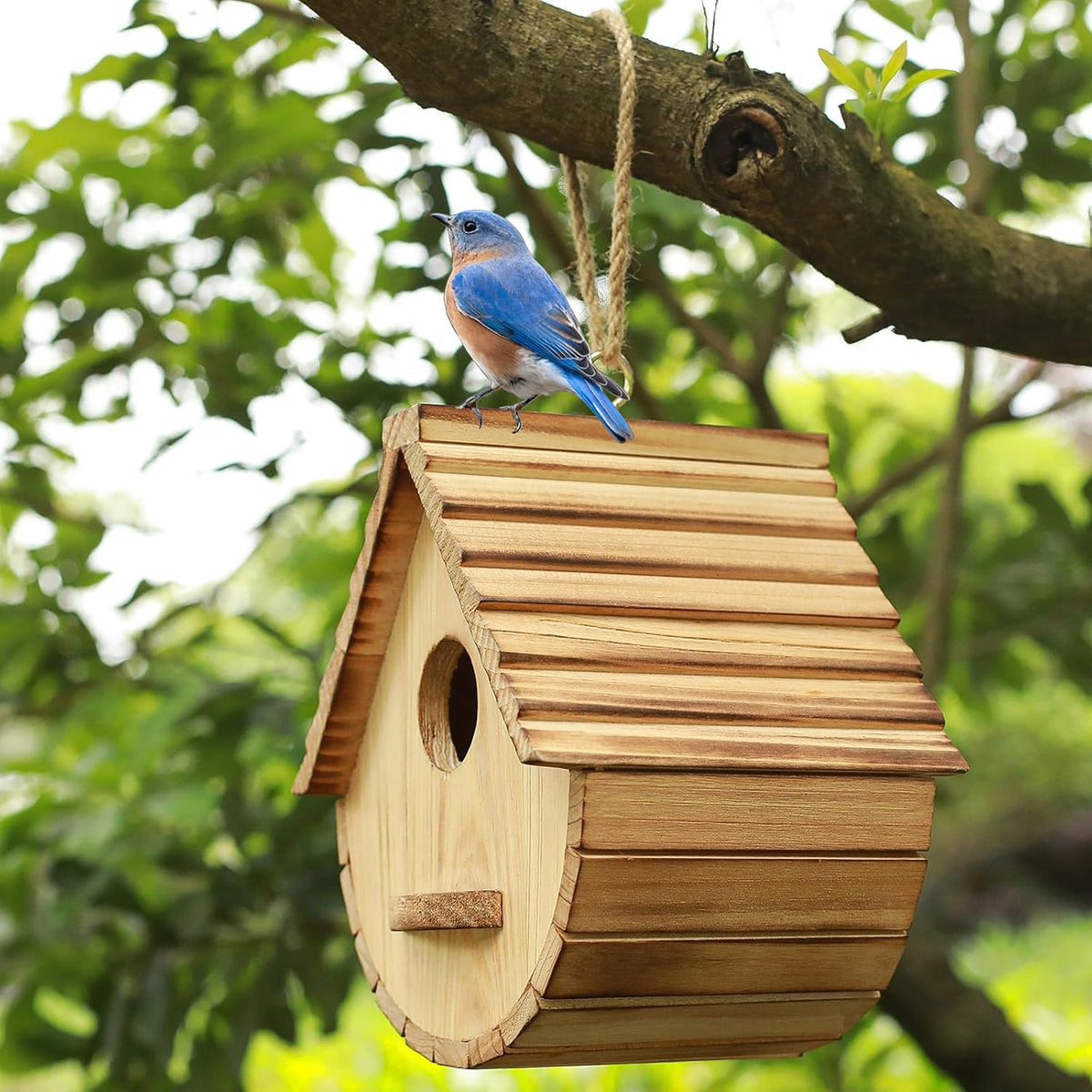 Bird House for Outside,Wood Birdhouses Outdoor, Wooden Bird House Bluebird Finch Cardinals Hanging Birdhouse for
