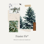 Frasier Fir All-Purpose Cleaner - Biodegradable Cleaner with Natural Essential Oils - Household Spray for Cleaning
