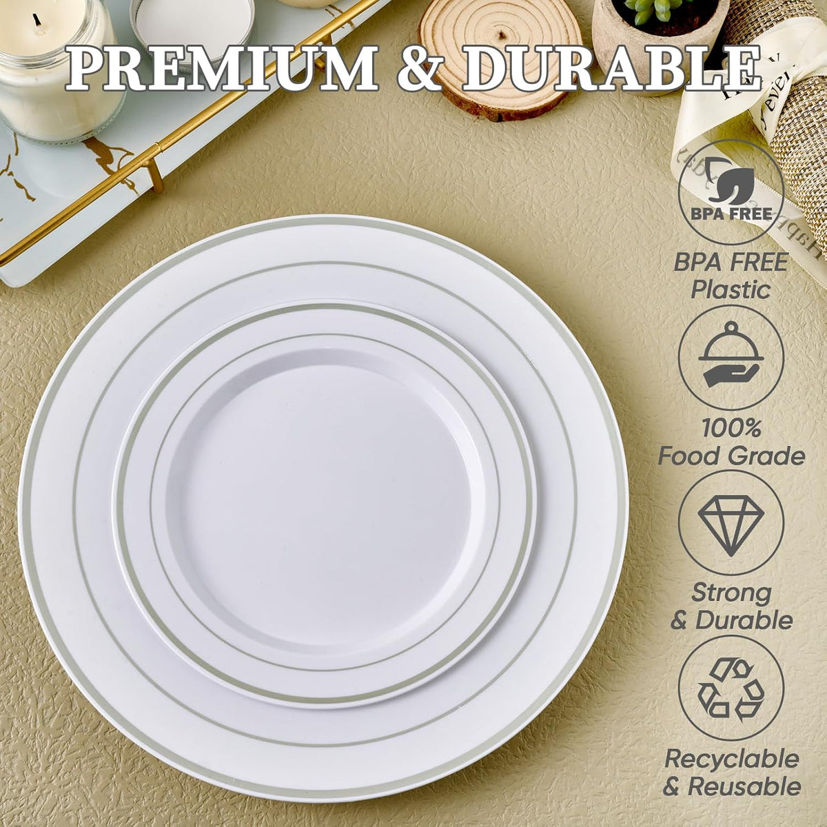 Silver Plastic Plates Set of 60,Disposable Plates with Silver Rim