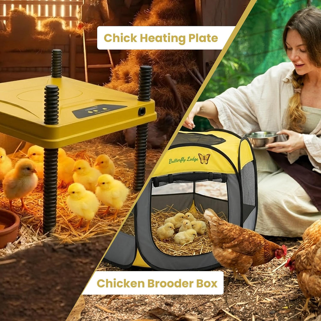 Chick Brooder Box and Heating Plate Starter Kit – Large Indoor Brooder Pen with 75W Adjustable Heat Plate, Feeder