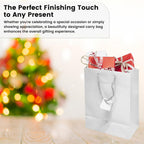 Novel Box White Gift Bags with Handles 10 Pack 4.75x3.25x6.75 Inches