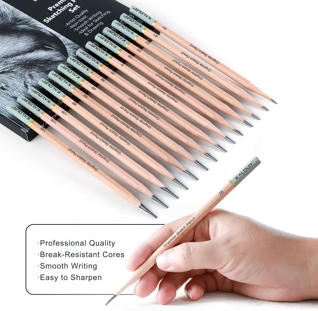 18-Piece Professional Sketch Pencil Set - Includes 5H to 14B Pencils, Vinyl Eraser, Kneaded Eraser,Sharpener and