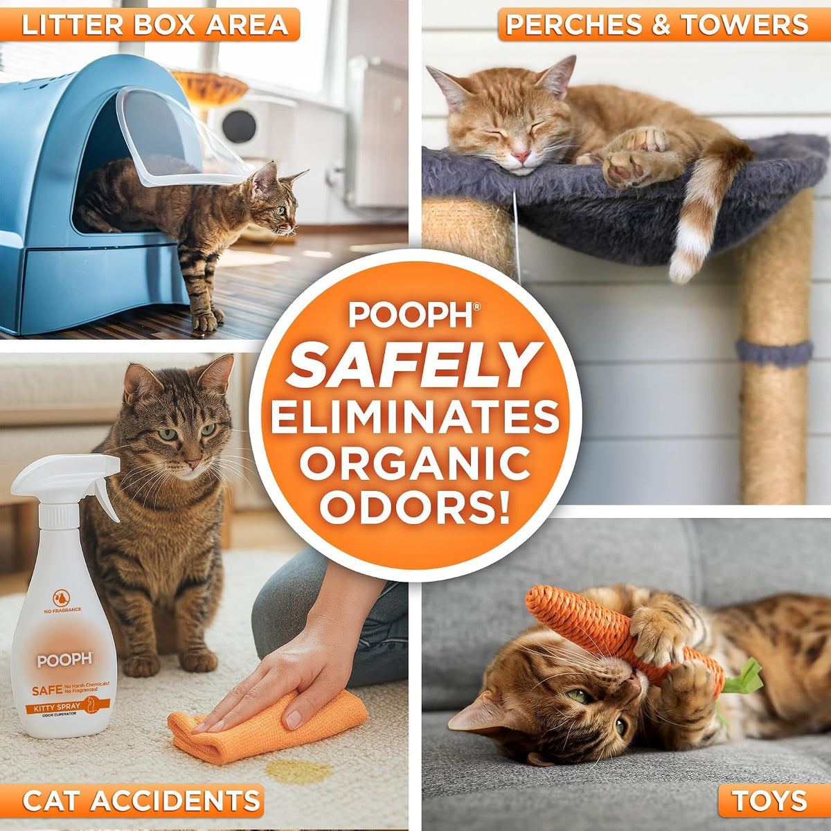 Kitty Odor Eliminator Spray for Cats, 16 fl oz