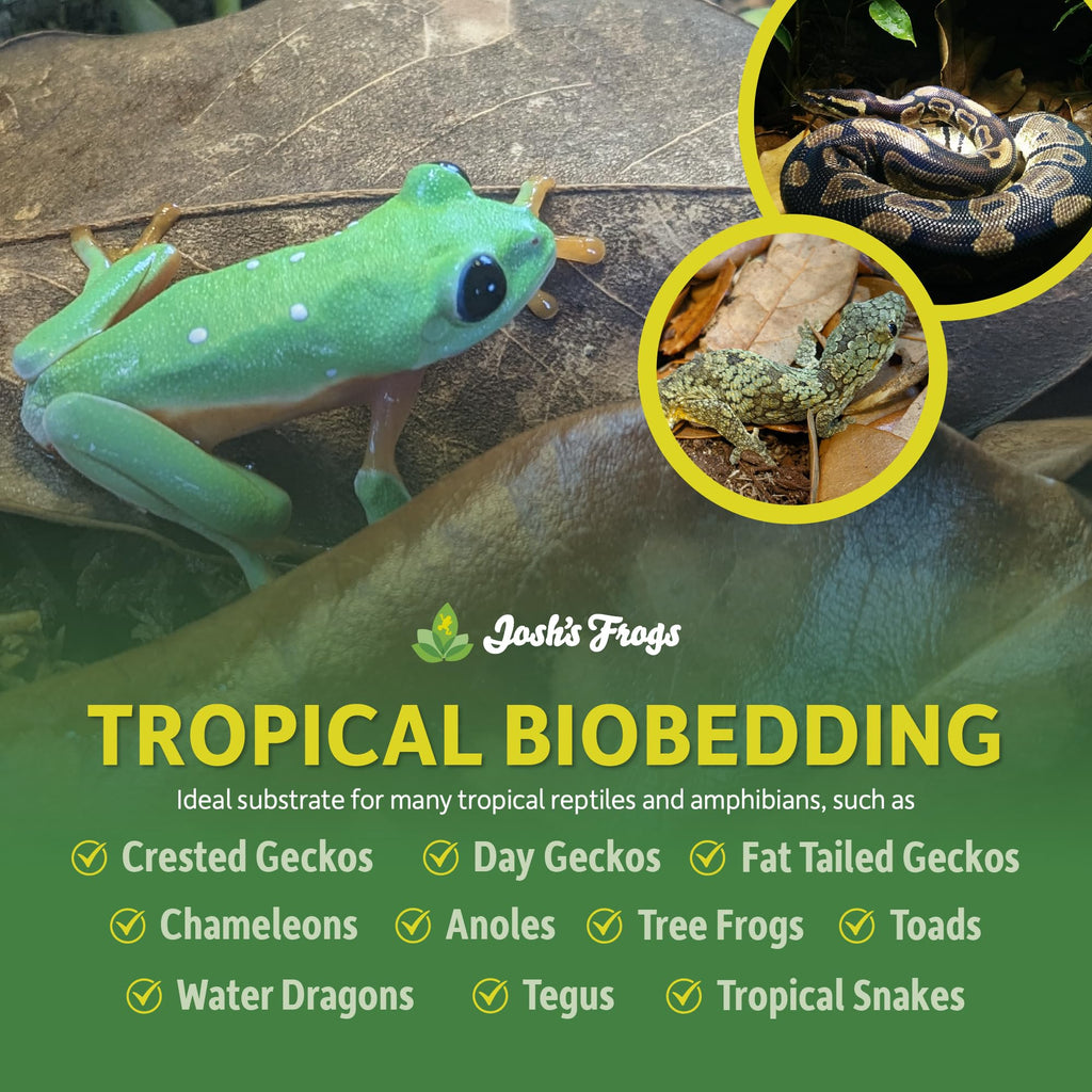 BioBedding Tropical Bioactive Substrate (4 Quarts)