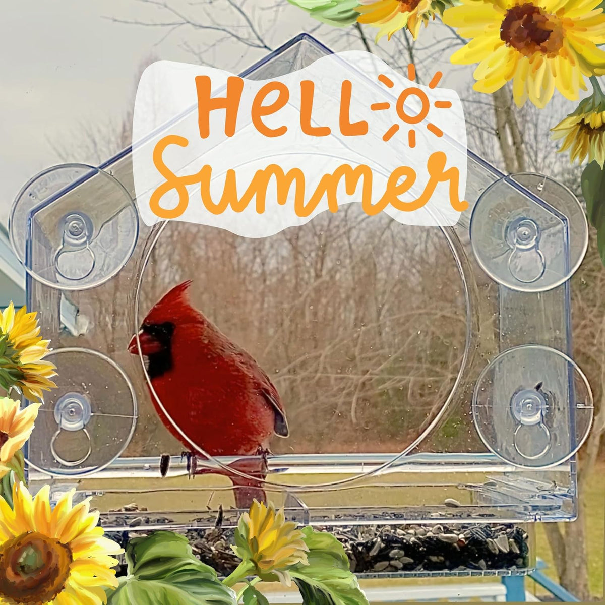 Window Bird Feeder with Strong Suction Cups, Bird Feeders for Outdoors