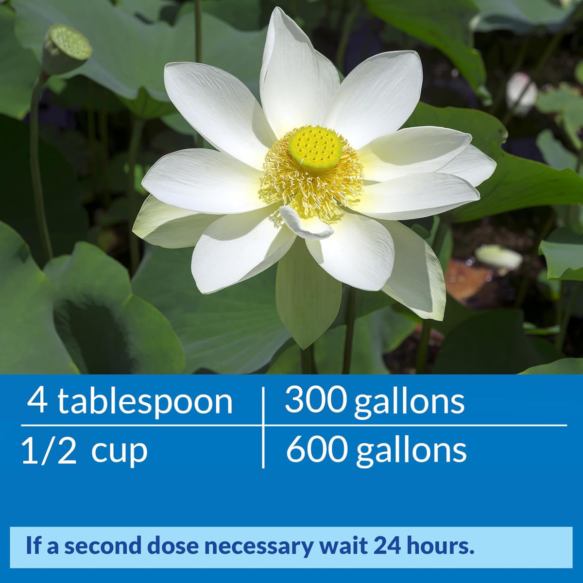 Pond ACCU-Clear (1 Gallon) Water Clarifier - Improves Filter Efficiency