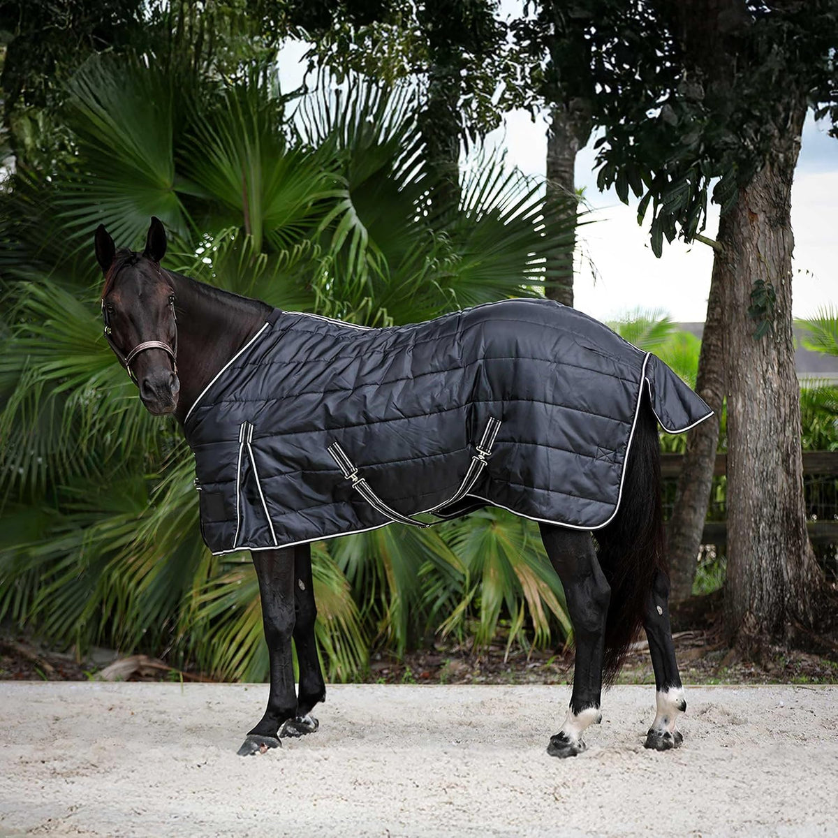 Norse Gusseted Stable Blanket 100g - Black - 81 in