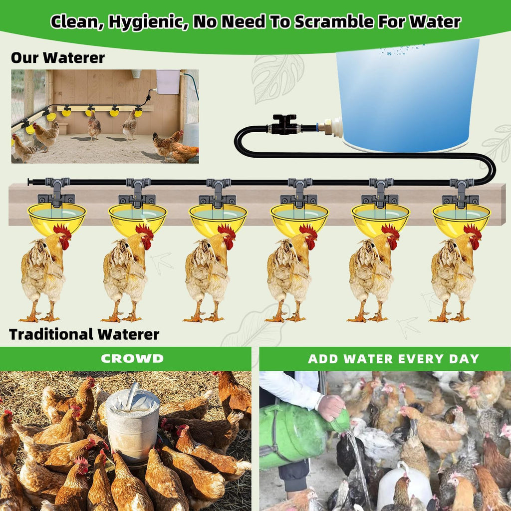 Automatic Chicken Water System, Complete Set with Large Water Cup,Pipeline