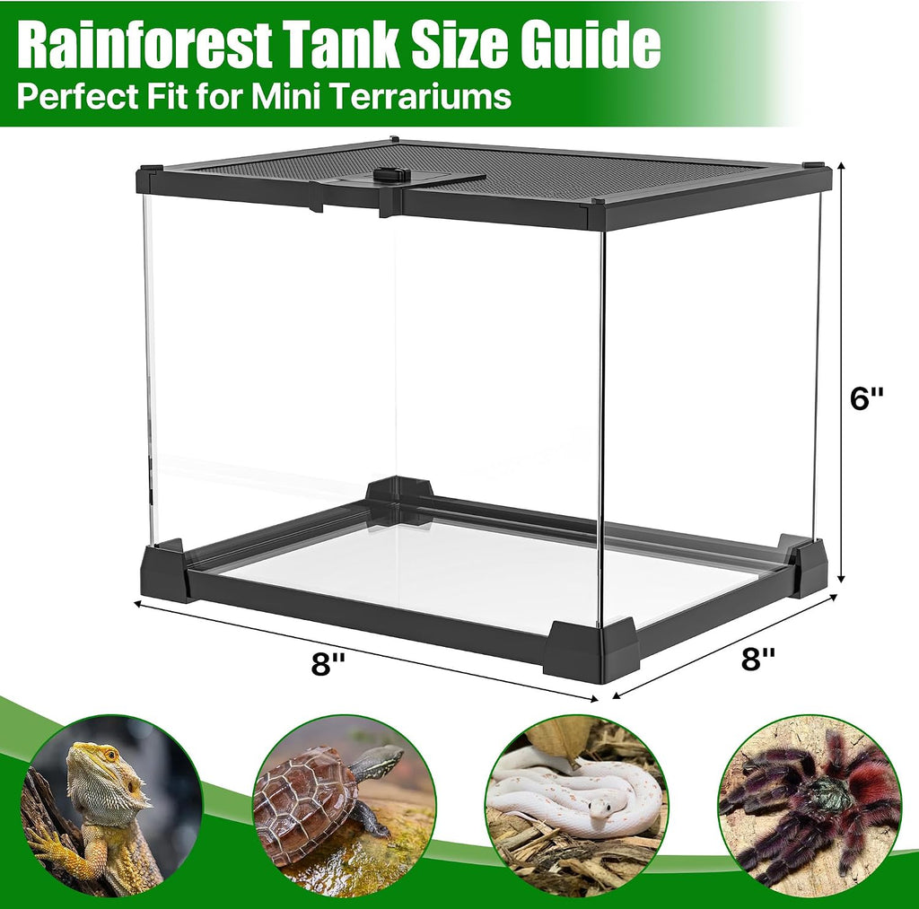 Mini Glass Reptile Enclosure Terrarium 8"x8"x6" | Top-Opening Mesh Lid with Feeding Hole, Fully Assembled Tank for