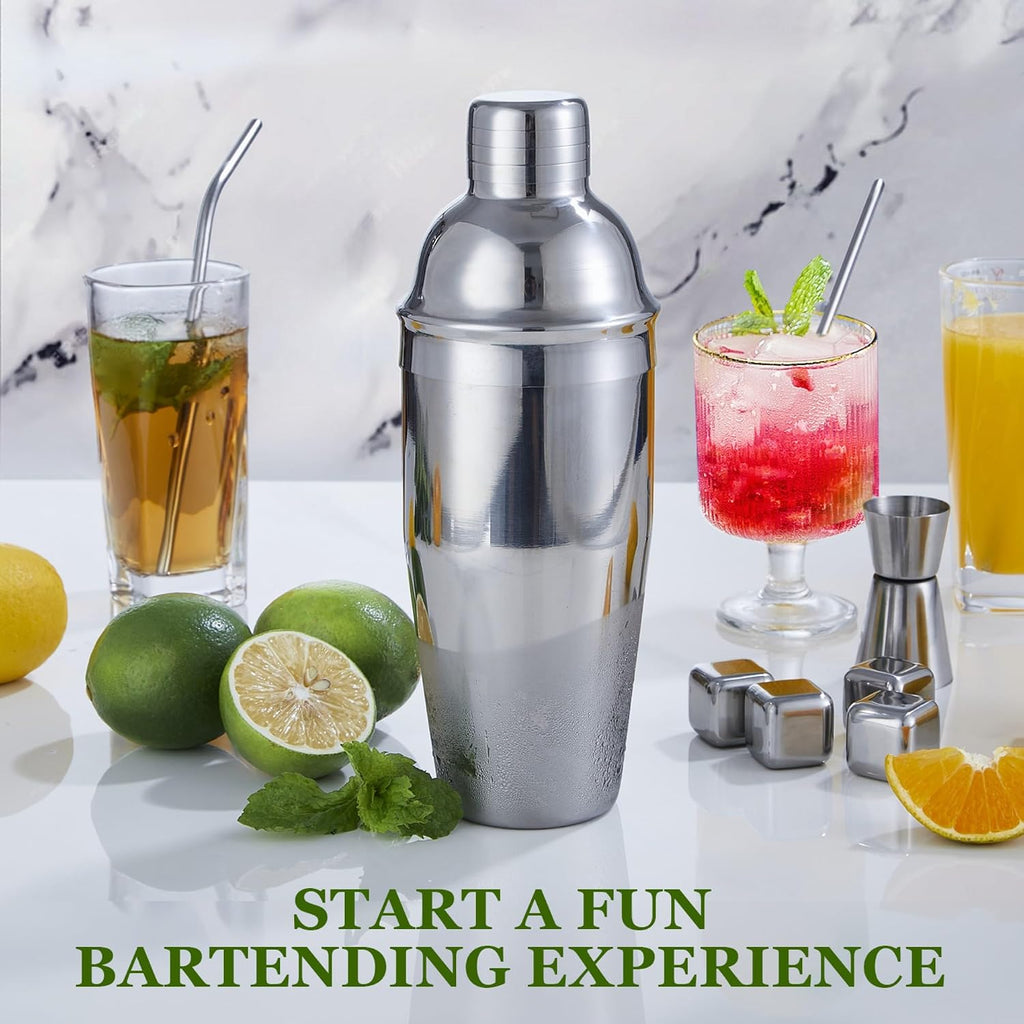 Cocktail Shaker Set, 23 Piece Bartender Kit with Stand 25oz Sliver