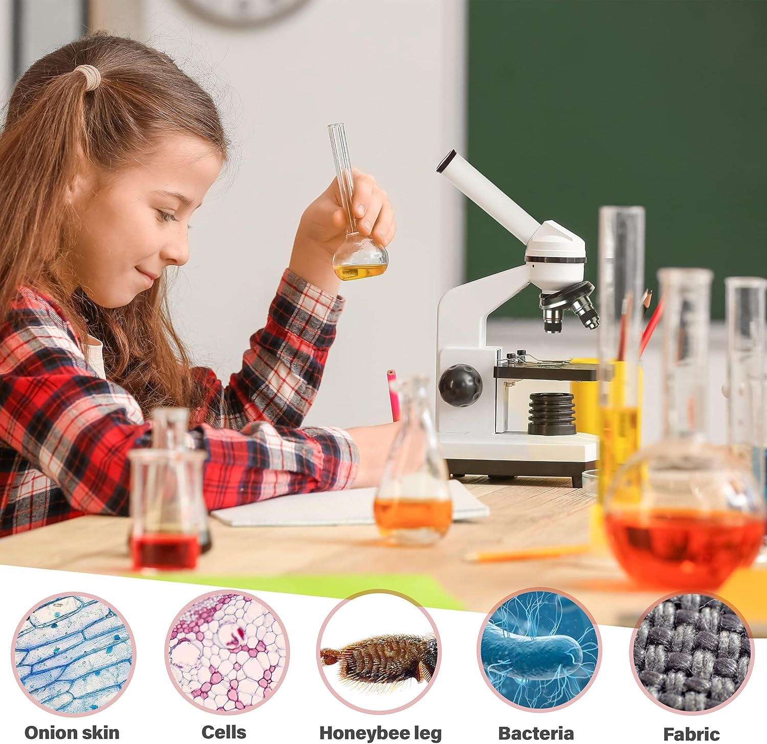 M102C-PB10 1000X Biological Compound Microscope with Prepared | 40X-1000X Magnification Range