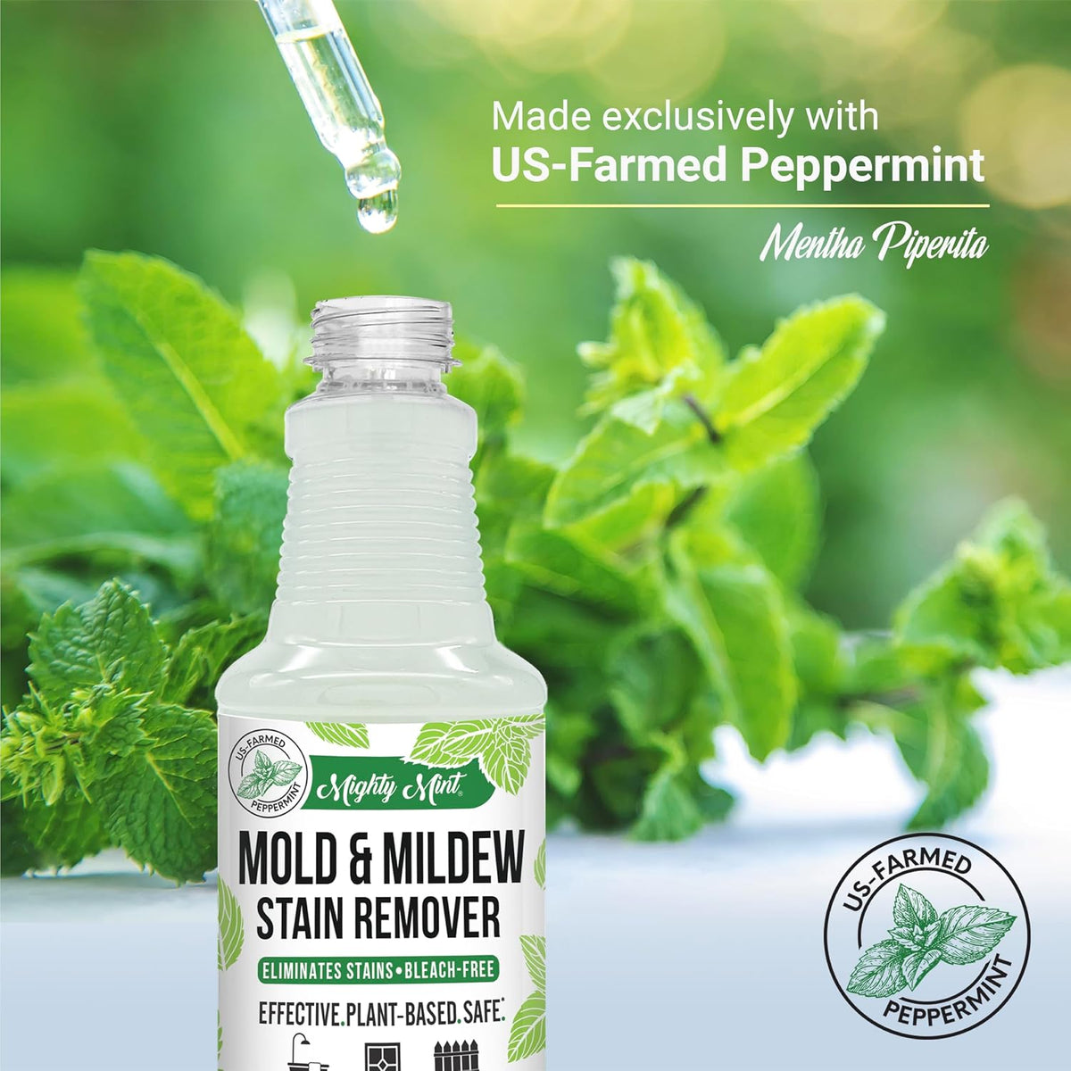 Mold & Mildew Stain Remover Spray, Rapid Clean for Bathroom, Kitchen, Hard Water, Outdoors, Natural Peppermint Scent