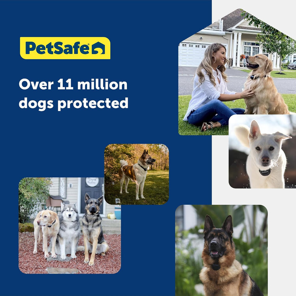 Basic In-Ground Fence, 2 Dog, Up to 1/3 Acre