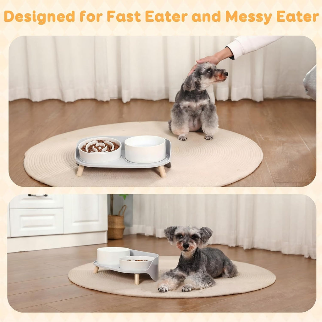 Elevated Slow Feeder Dog Bowls - Ceramic Food and Water Bowl Set with Stand - Raised Pet Dishes for Small and Medium