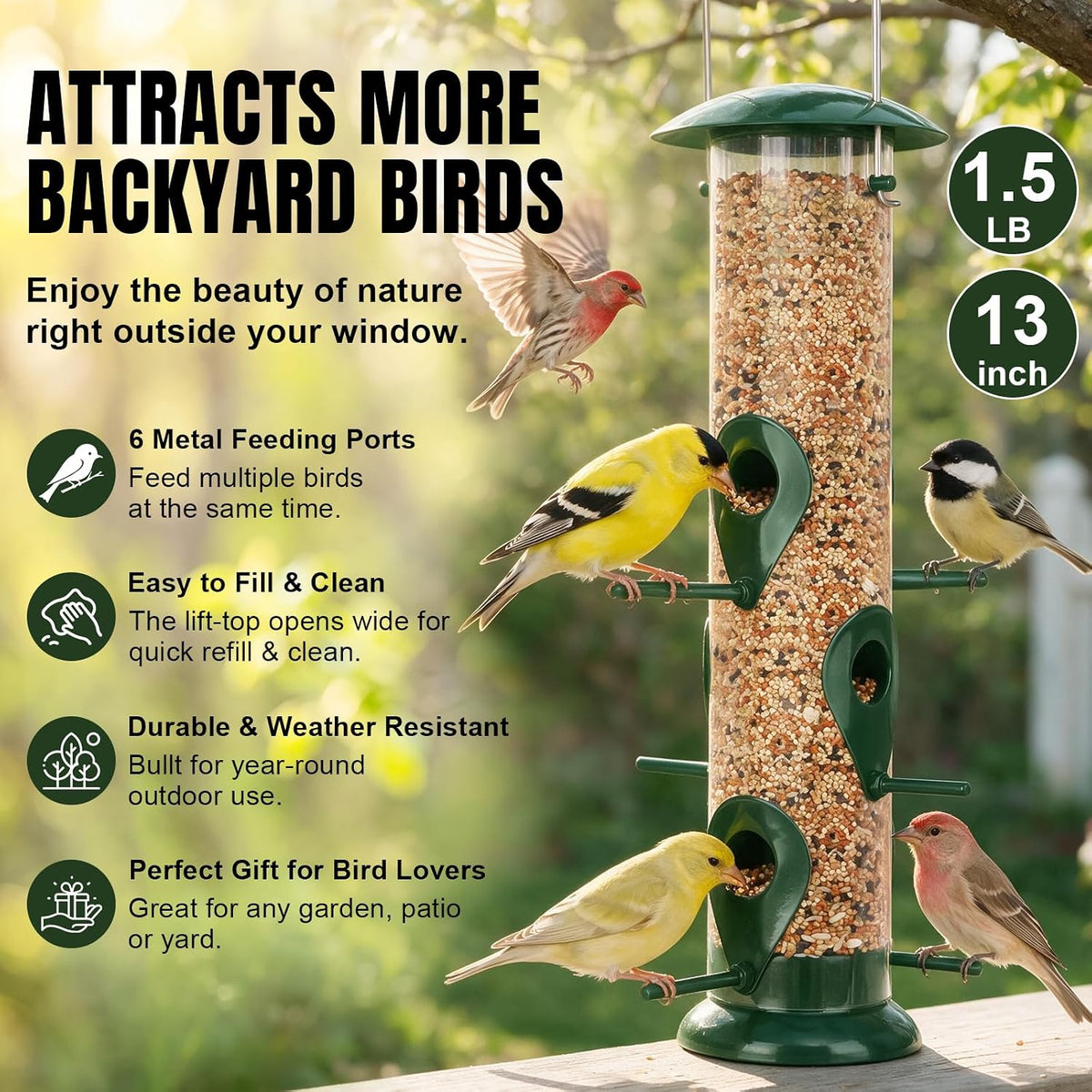 Bird Feeder for Outdoors Hanging, 13" 6 Ports, Clear Tube
