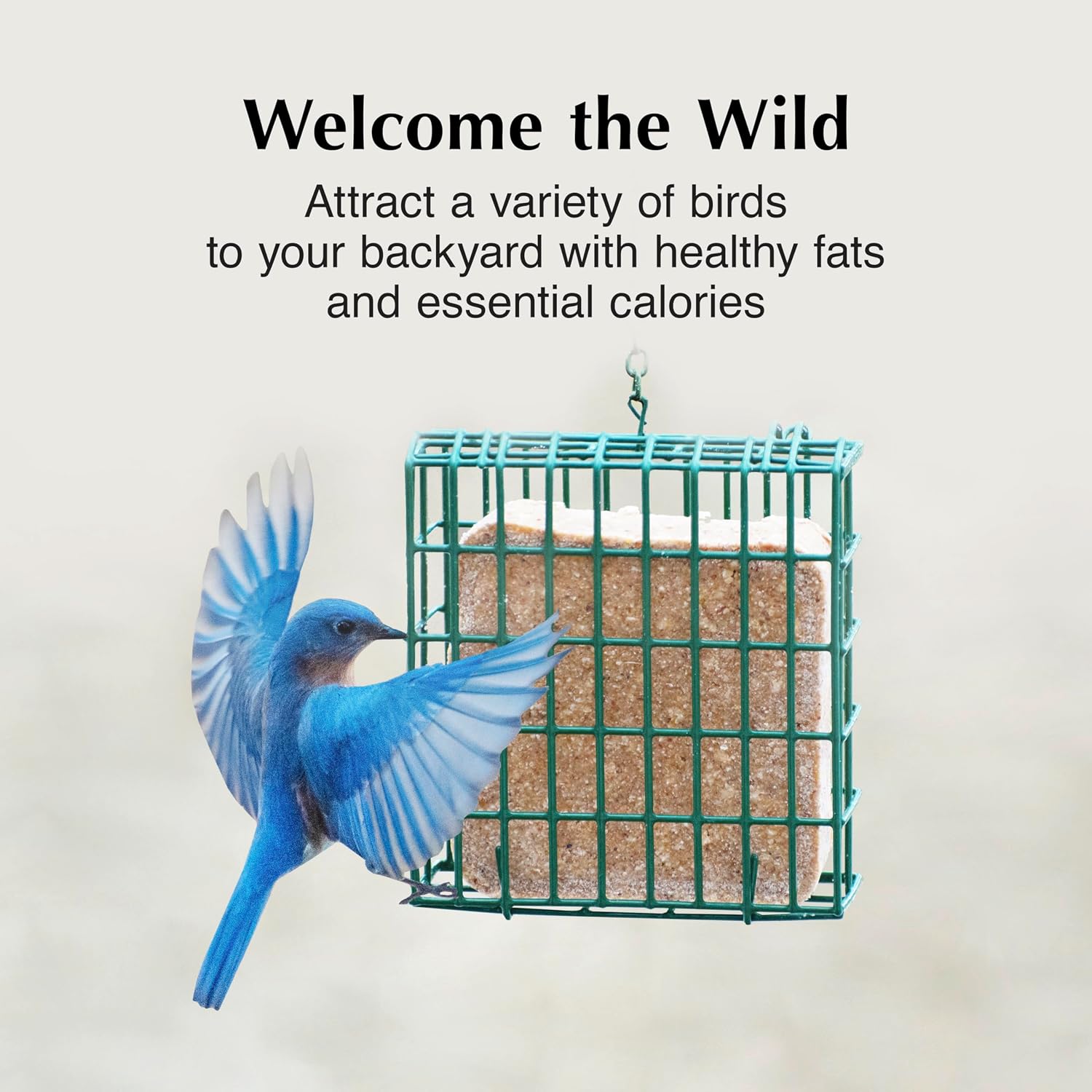 High Energy Delight No Melt Suet Dough, Suet Cakes, Pack of 8 | No melt suet cakes for wild birds with roasted