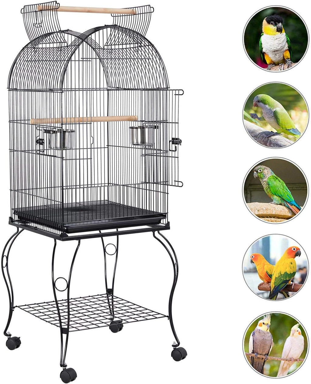 59-Inch Rolling Standing Medium Dome Open Top Bird Cage for Parrots Cockatiels Sun Conures Parakeets Lovebirds