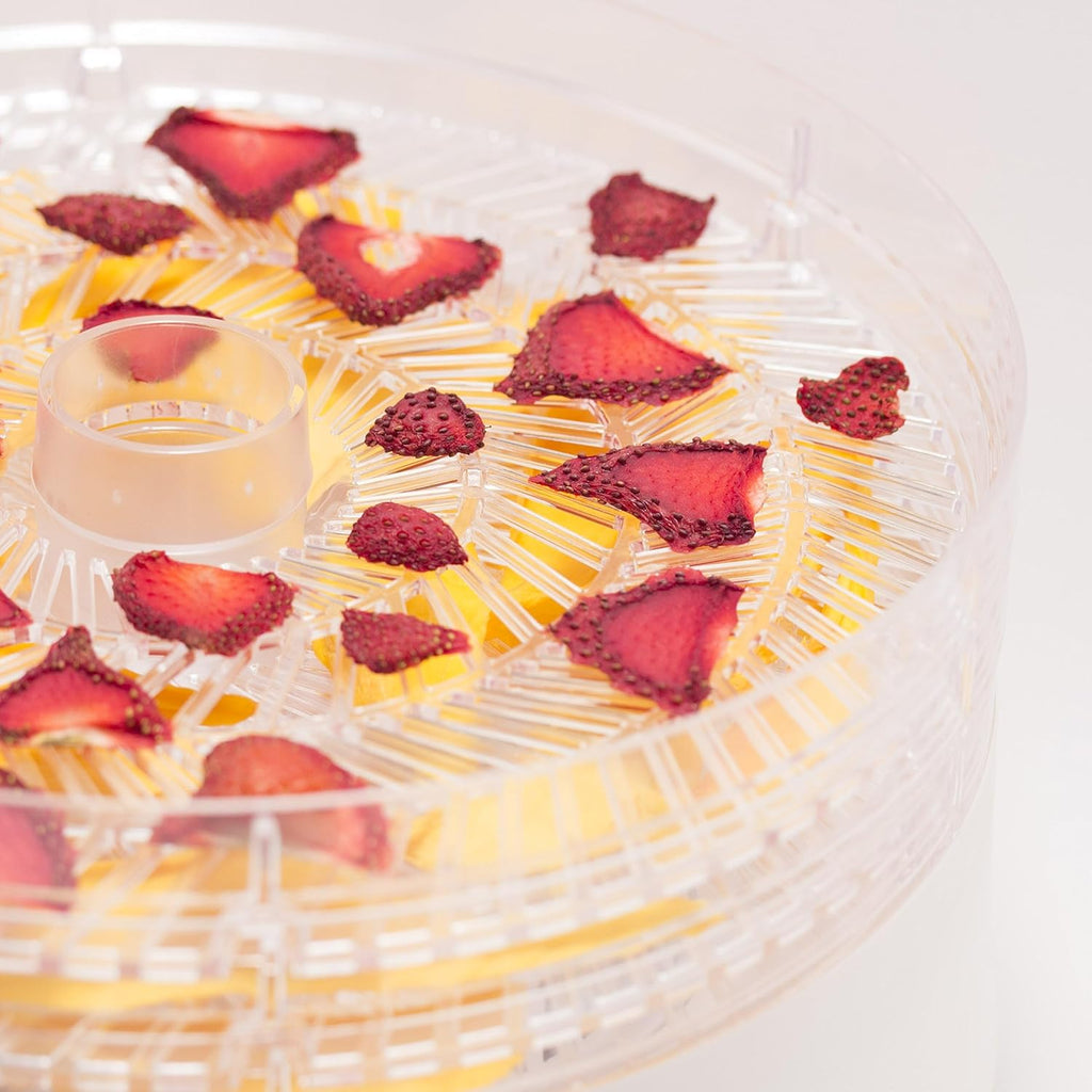 Food Dehydrator, Five 9.25” BPA-Free Trays, CCD100W6, White