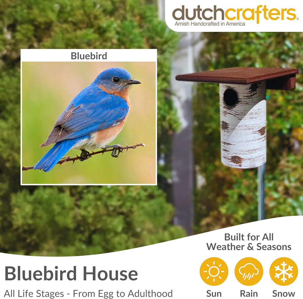 Pole Mount Gilbertson Bluebird House with Removable Base, Durable Weatherproof Birdhouse Blue Bird Nesting Box for