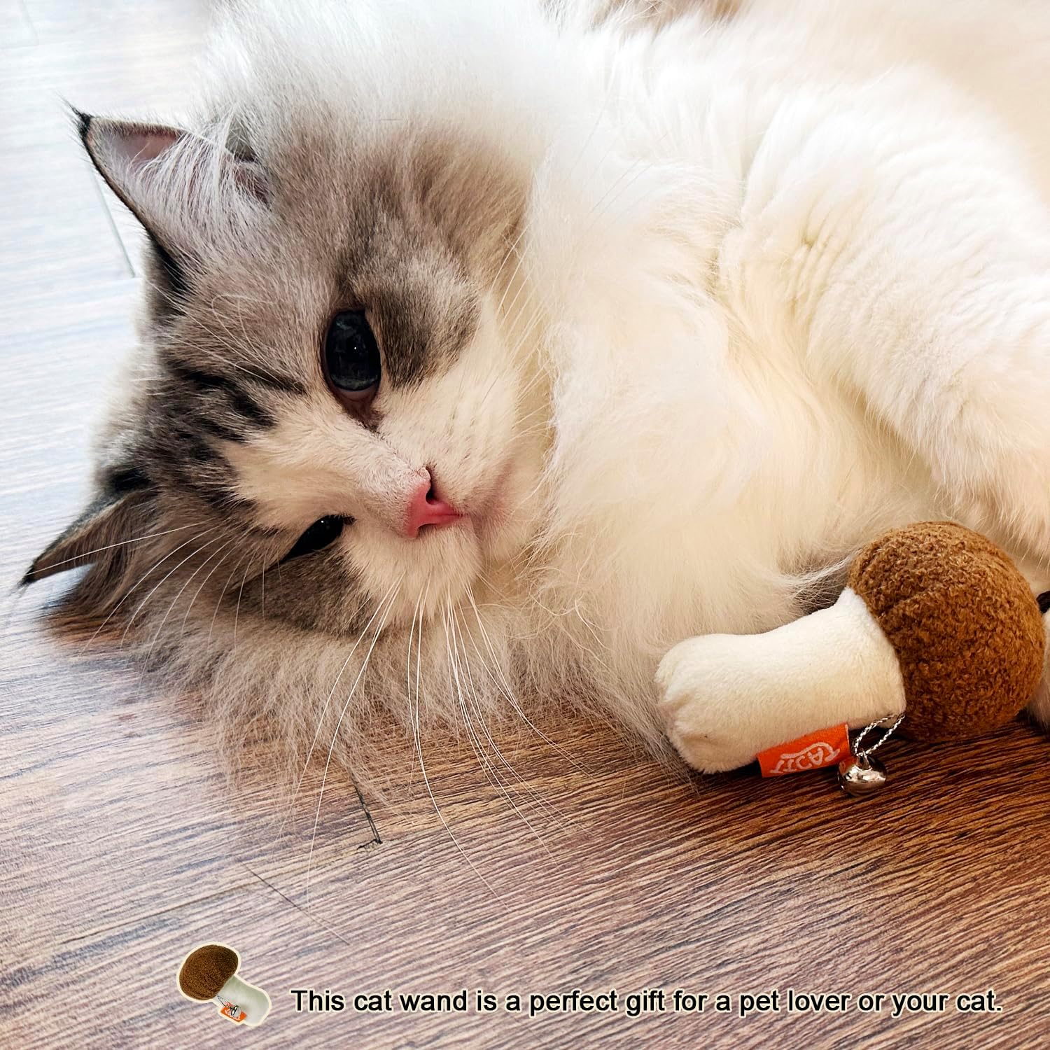 Cat Wand Toy for Indoor Cats, Wood Cat Stick Toy with Mushroom Catnip Toy,Interactive Cat Toy.