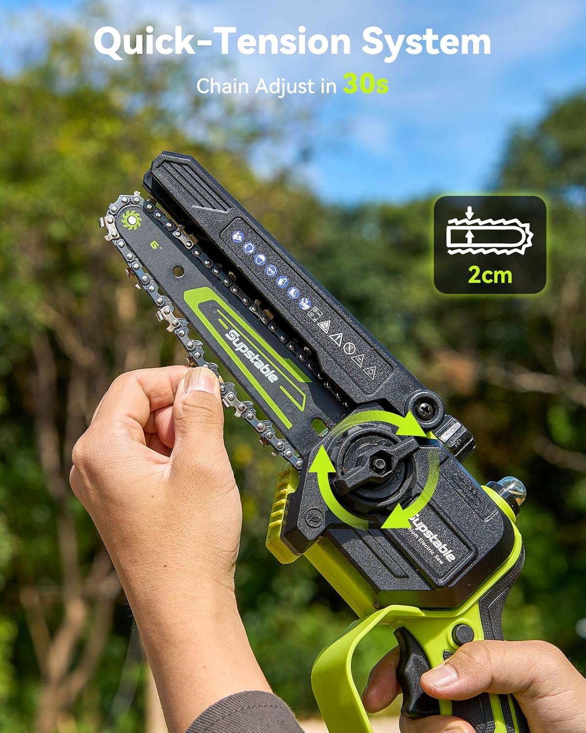 Electric Pole Saw, 6-Inch Cordless Mini Chainsaw with Extension Pole, Extendable to 16 ft, 2x4.0Ah Batteries