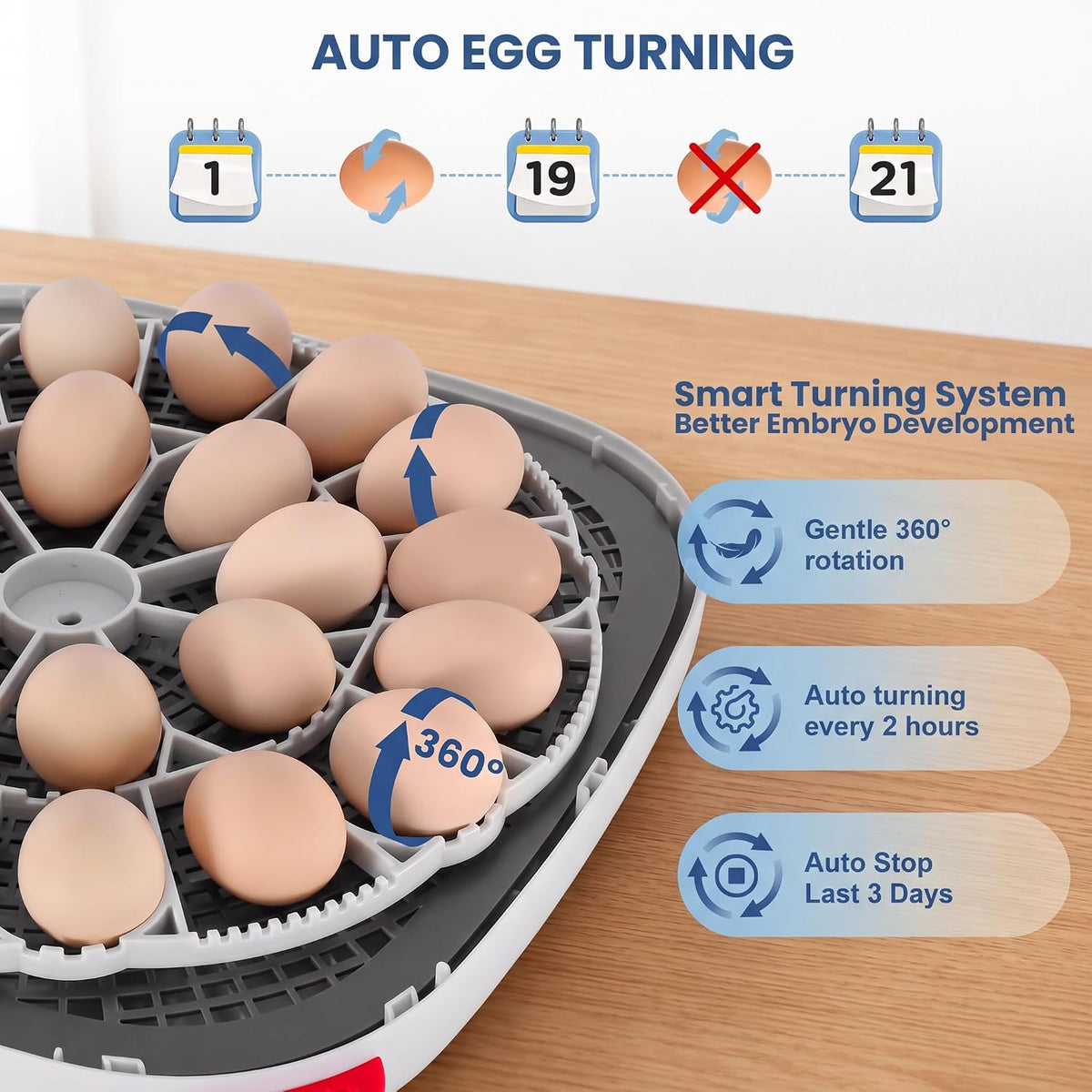 24 Egg Incubators for Hatching Eggs, 360° View with 4 Modes, Blue