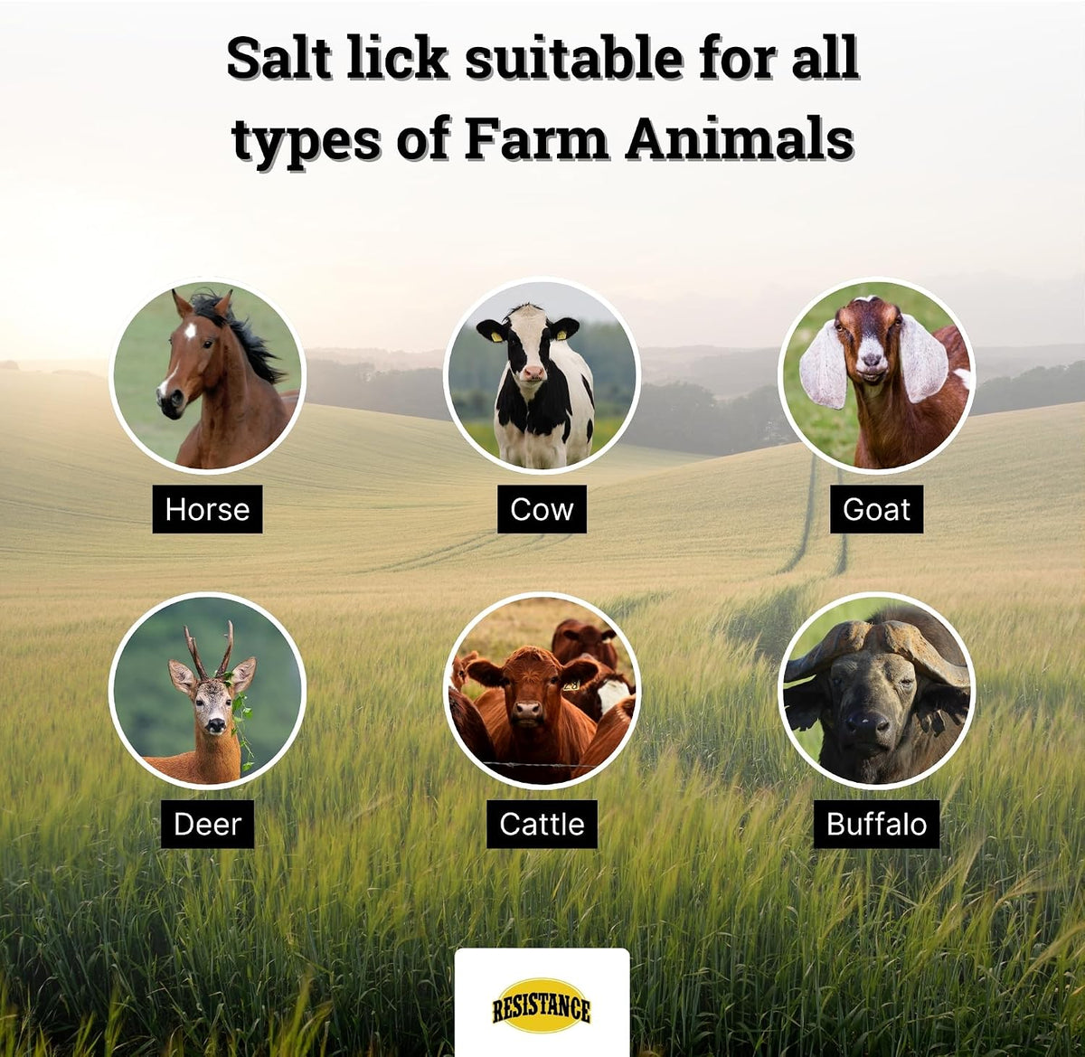 Himalayan Salt Lick 2lb Block on Rope for Horses, Cattle, Deer, Goats, and Livestock – Pack of 4 Blocks