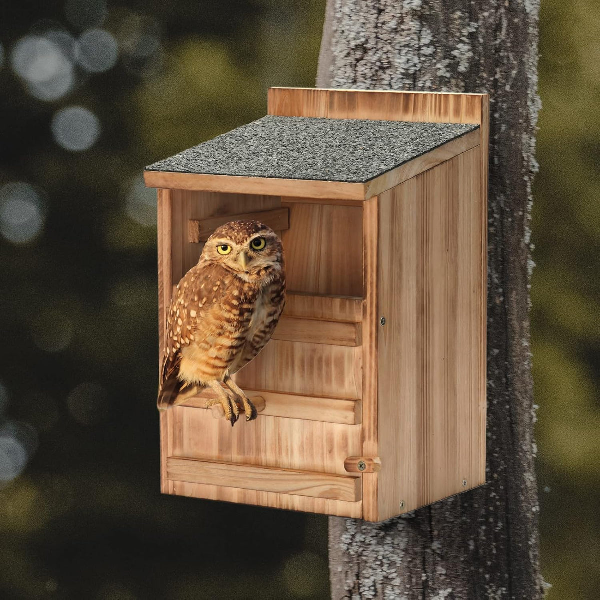 Owl Houses for Outdoors,13.38" Cedar Owl House with Clean-Out Door