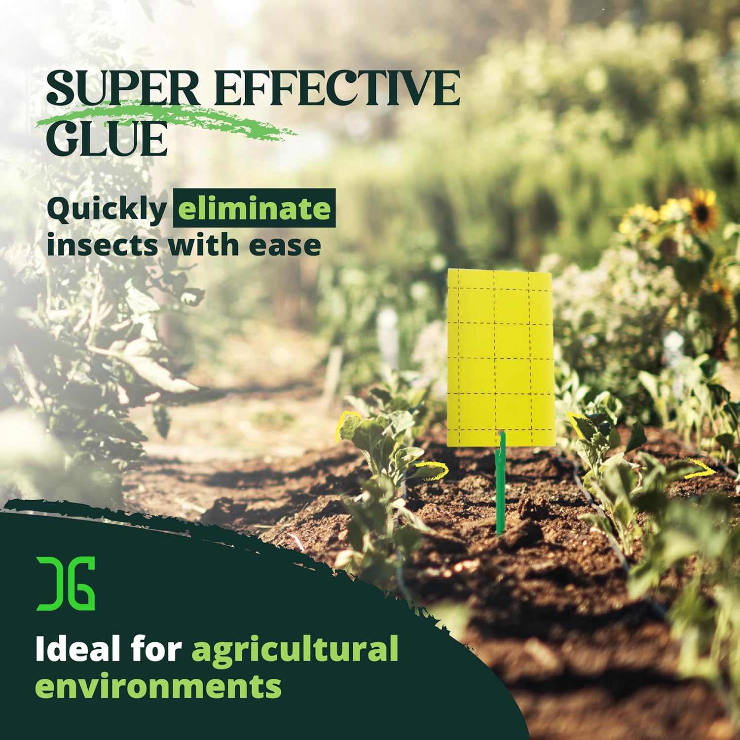 GRO Yellow Regular Double Sided Sticky Traps 36PK, Adhesive Bug & Fruit Fly Trap, Pest Control for Home, Farm