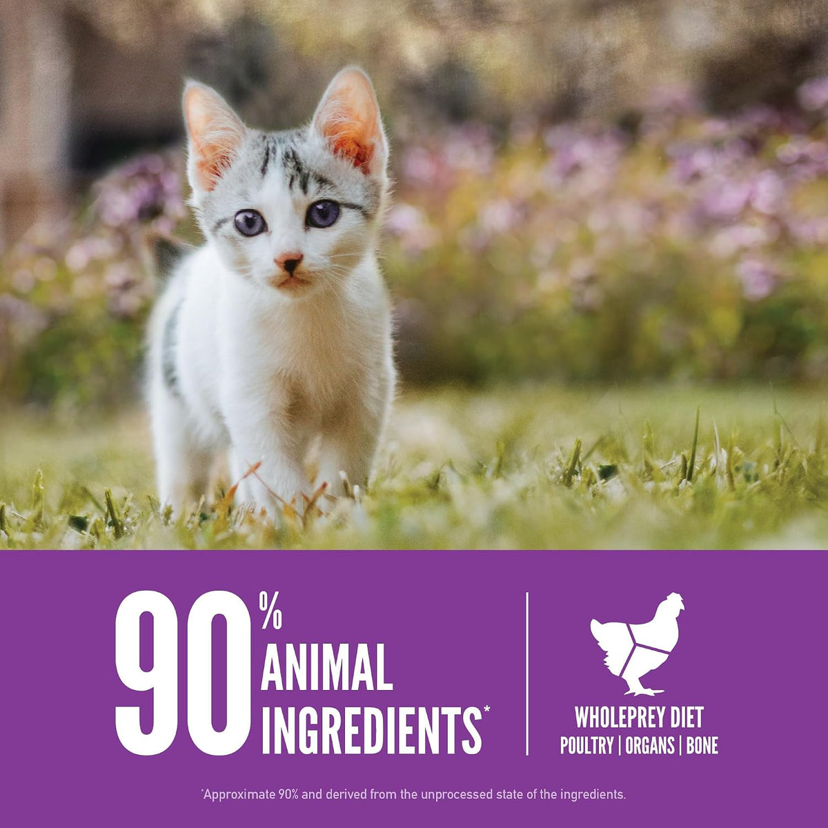 Grain Free WHOLEPREY Dry Cat Food Kitten Recipe 7lb Bag