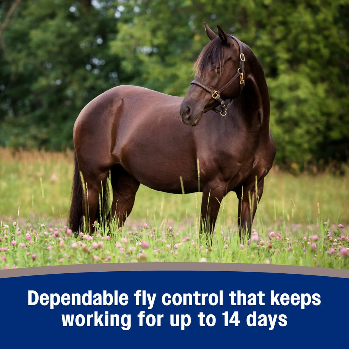Tri-Tec 14 Fly Spray for Horses, Protects for Up to 14 Days, 32 oz