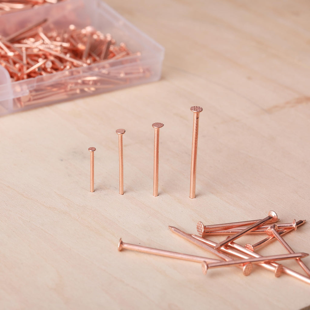 Nail Assortment Kit, 600 Pcs, 4 Sizes, Rose Gold Picture Hangers