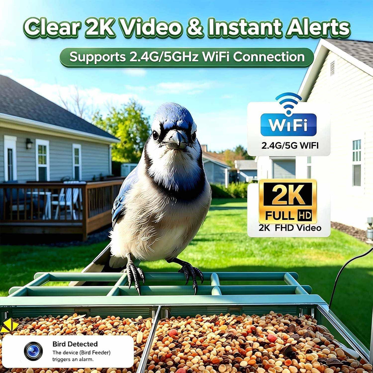 2026 Upgraded Window Bird Feeder with Camera for Bird Watching