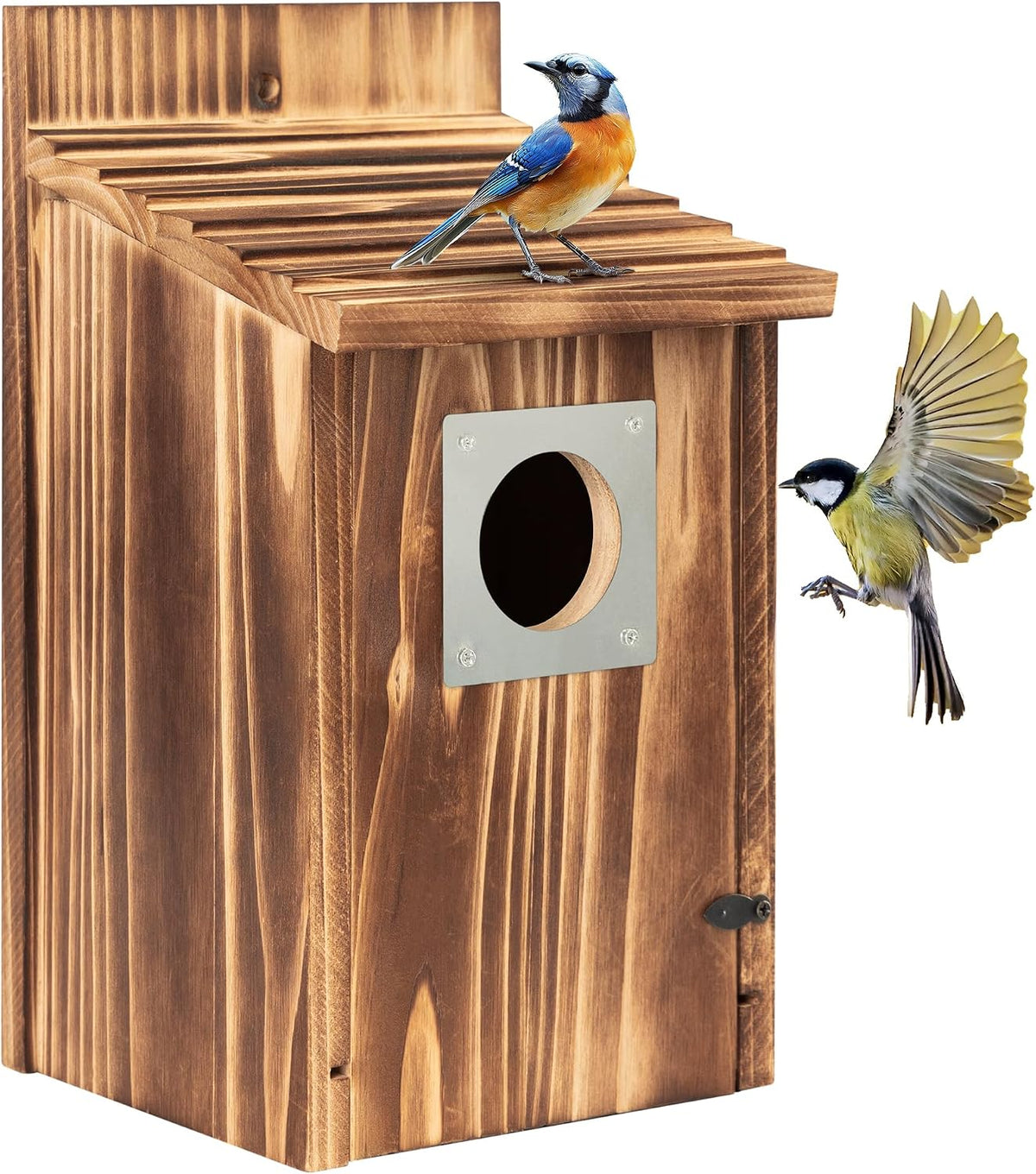 Bird Houses for Outside with Metal Predator Guard