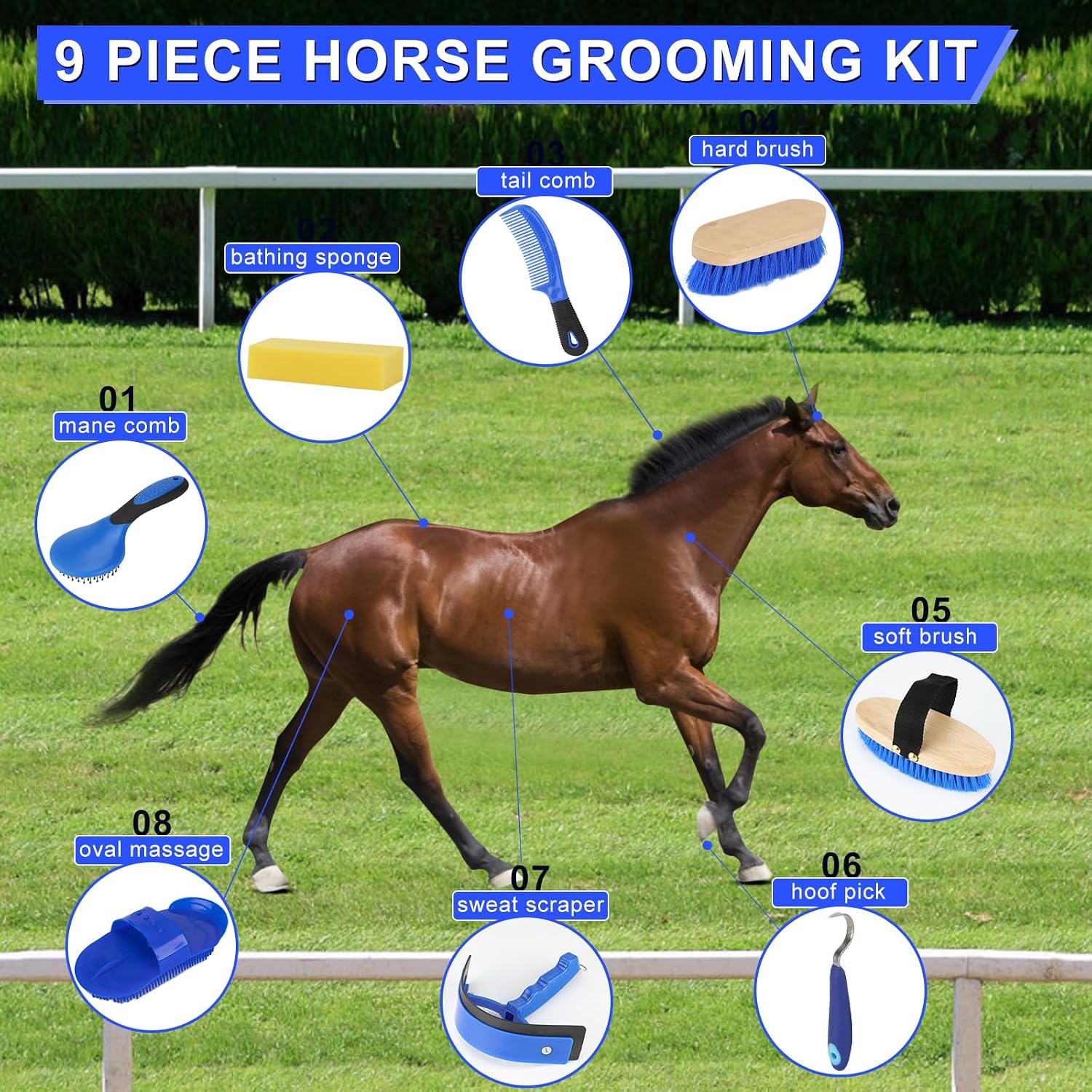 Horse Grooming Kit, 9-Piece Horse Brush Set with Tote Bag, Blue