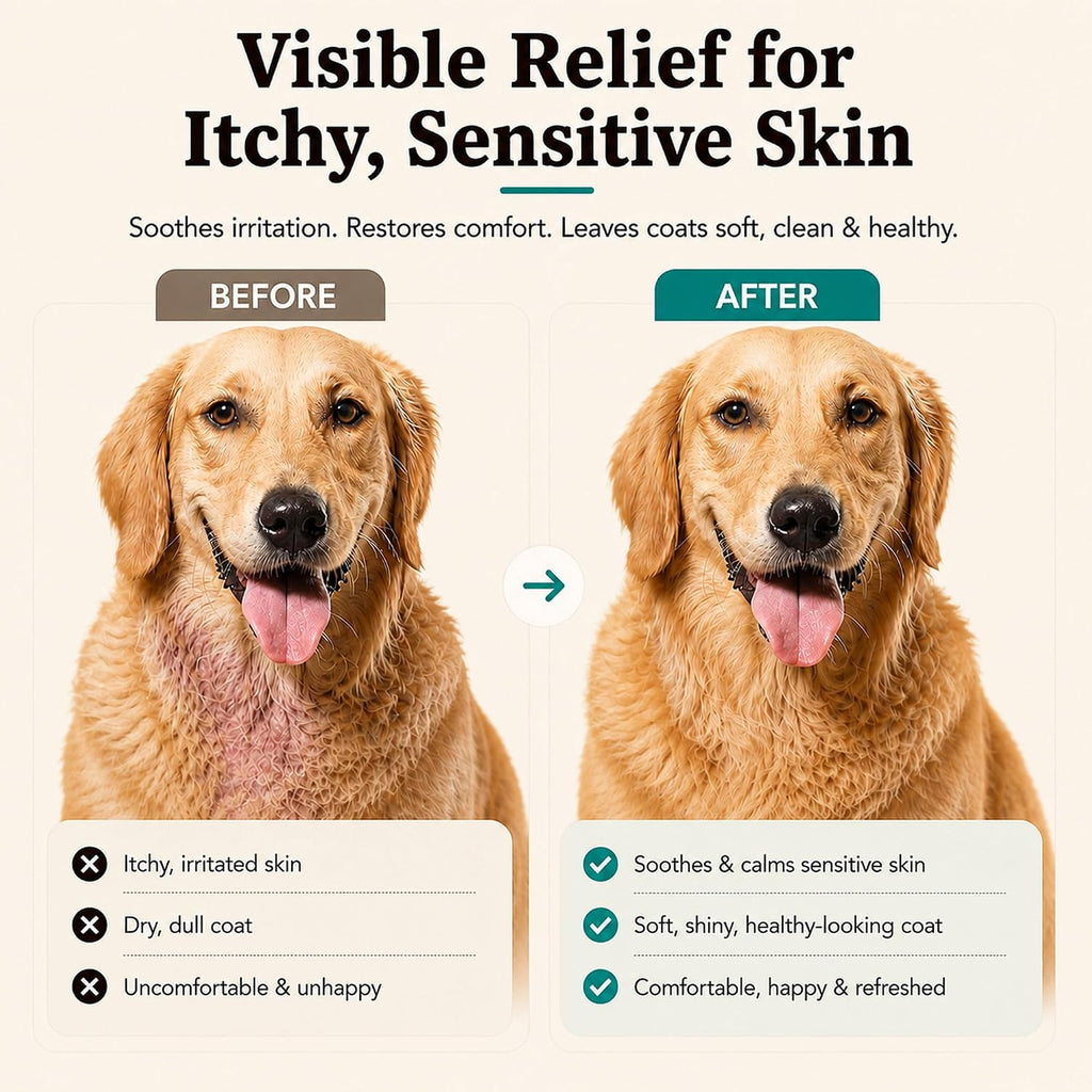 Sensitive Skin Dog Shampoo - 12 oz