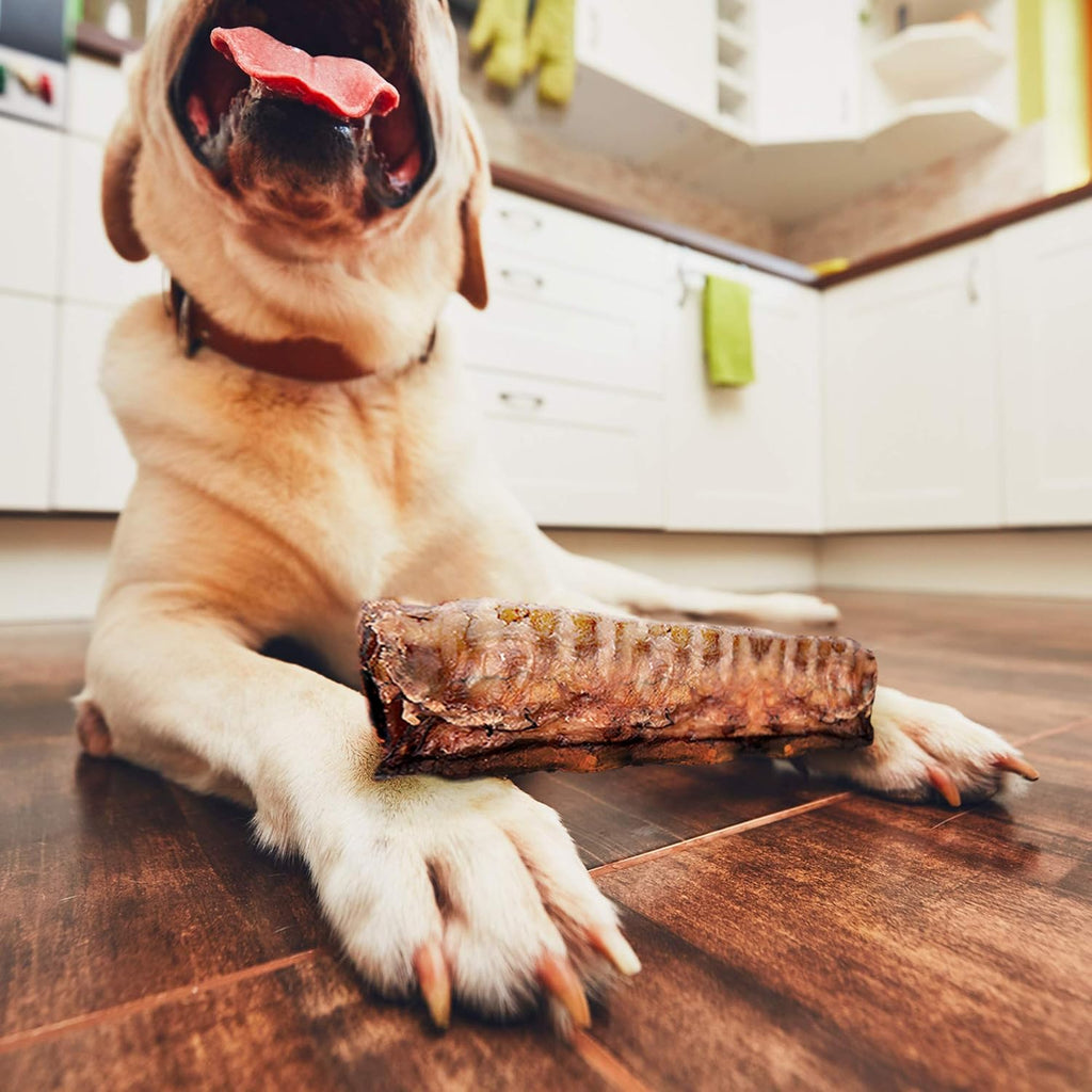Beef Trachea Dog Chews, 7 Inch, 16 Oz