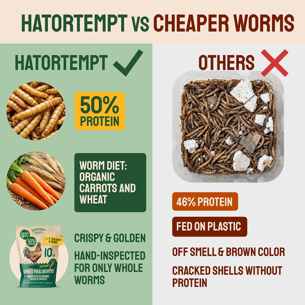 10lb Dried Mealworms for Chickens & Wild Birds, Chicken Feed