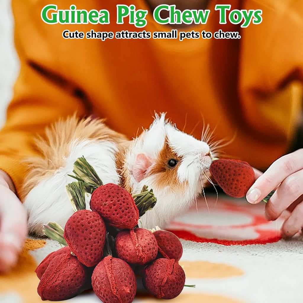 Rabbit Chew Toys, 12 PCS Natural Hamster Molar Snacks Handmade Small Animal Chew Toys for Teeth Timothy Hay Treats