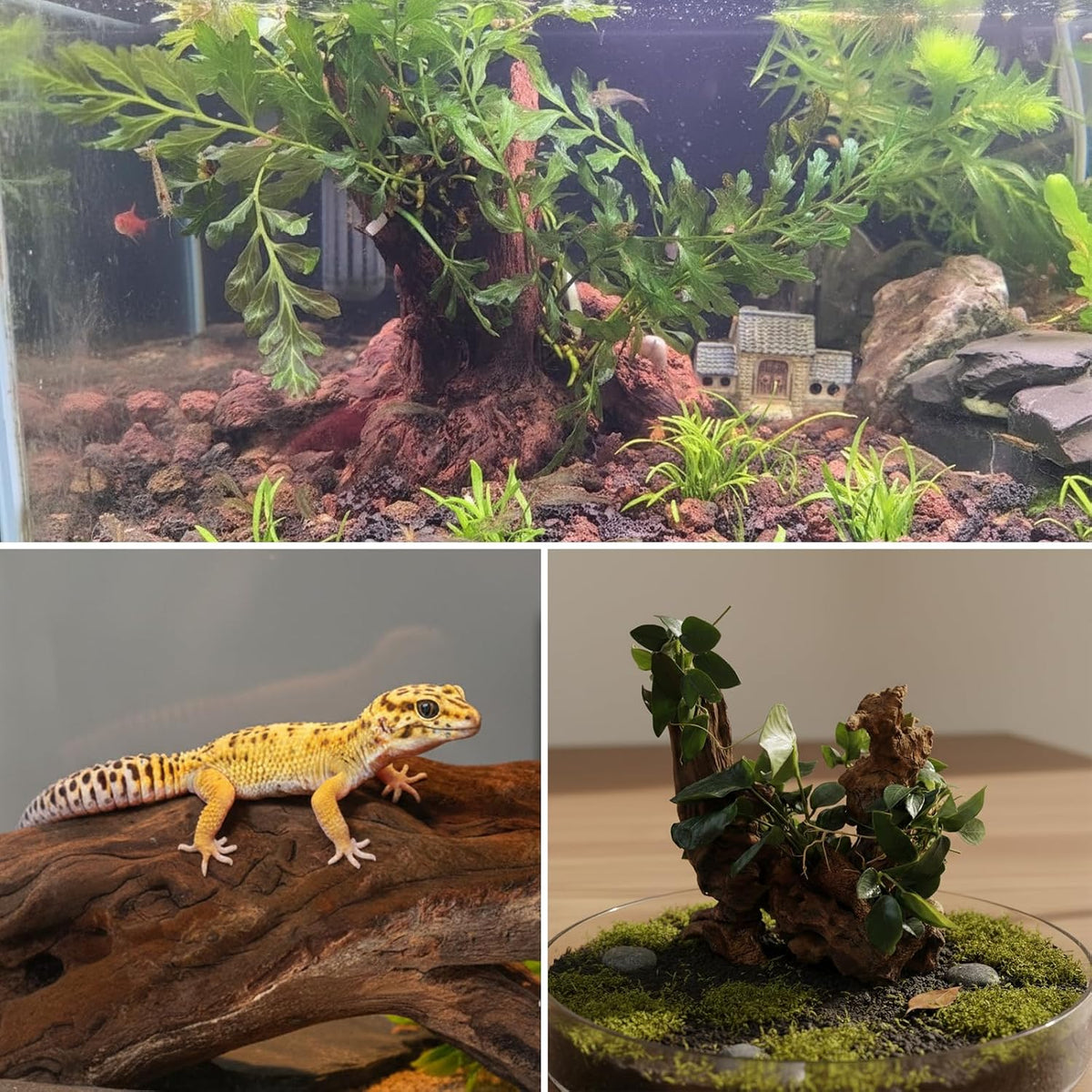TM Aquarium Sinkable Driftwood Fish Tank Decoration (Small)