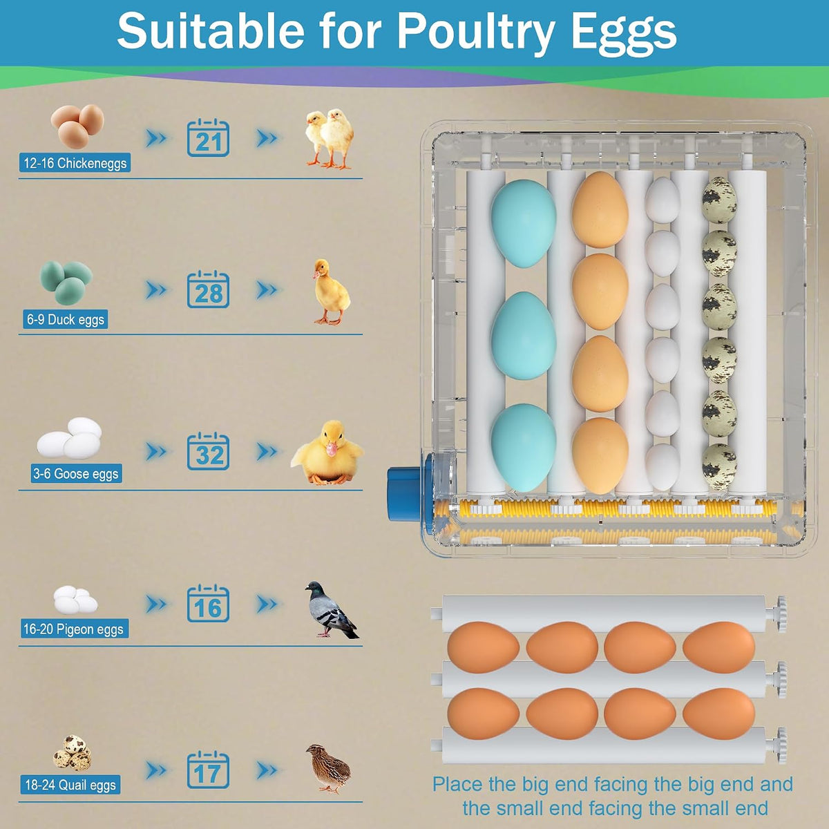 16 Eggs Incubators for Hatching Eggs, Egg Incubator with Automatic Egg Turning, Chicken Egg Incubator with Humidity