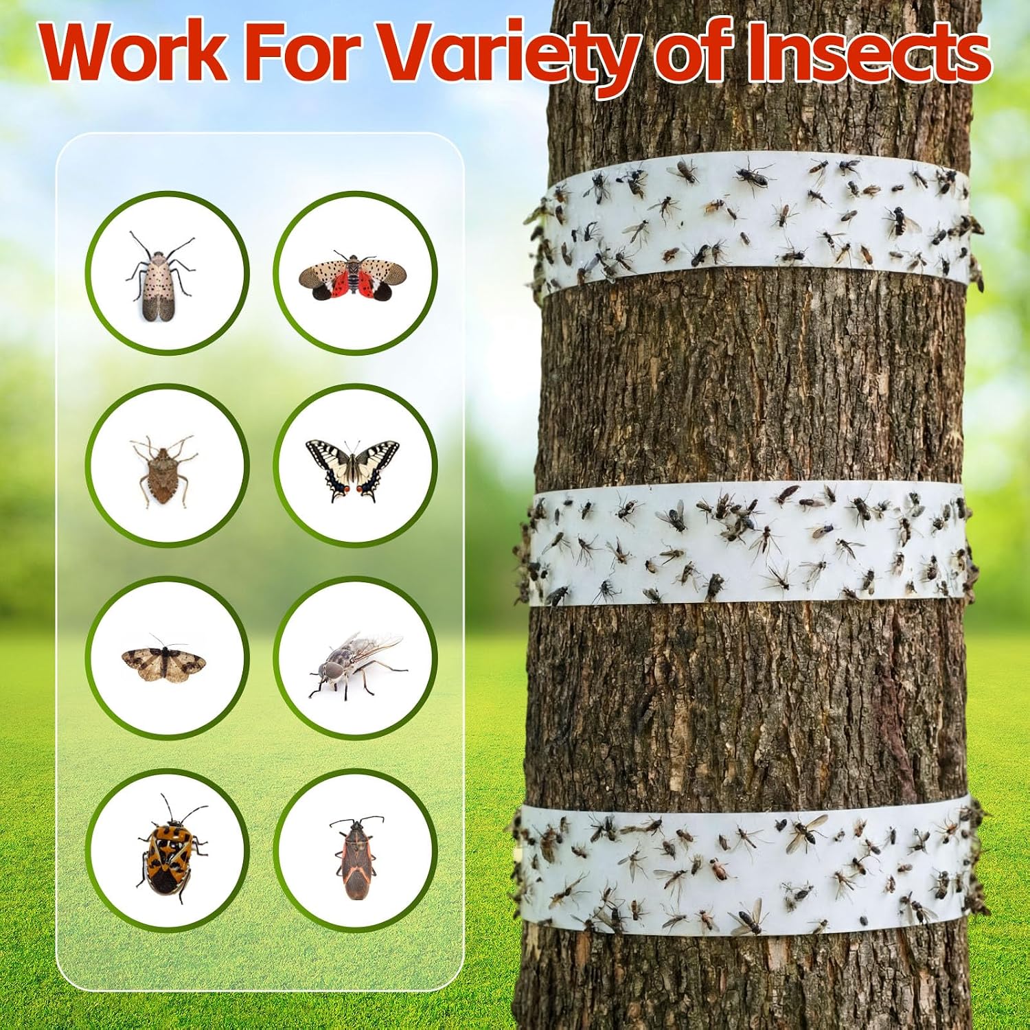 18 Rolls Spotted Lantern Fly Traps Ant Insect Barrier, 30 ft Each, Outdoor Fly Tree Tape Trees Wrap Spotted