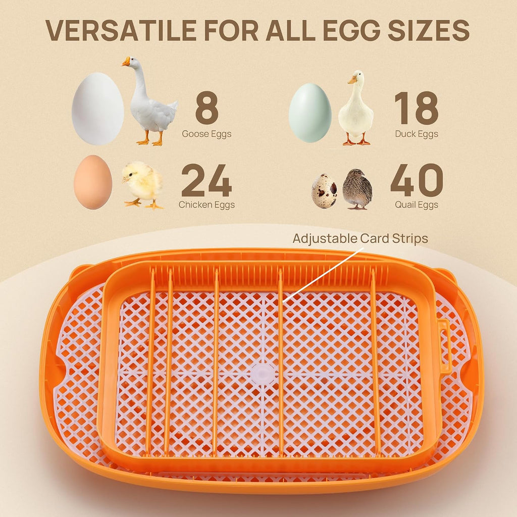 Incubator for Hatching Eggs, Automatic Turning, Temperature & Humidity Control, Built-in Candler, 360° Viewing, 24