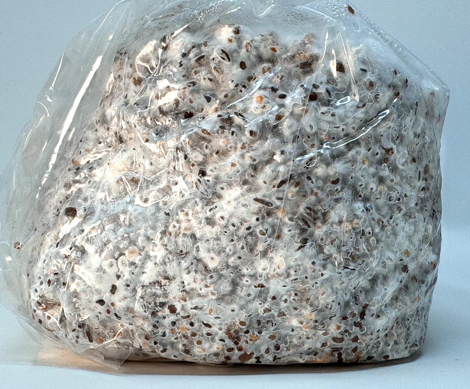 Premium 5-Grain Mushroom Spawn Bags | Sterilized Grain Spawn | Injection Ports | 2 Quarts Each Bag | 2 Bags per Box